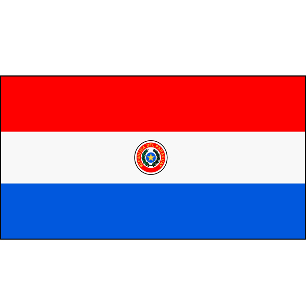 Paraguay  (d/sided) Flag
