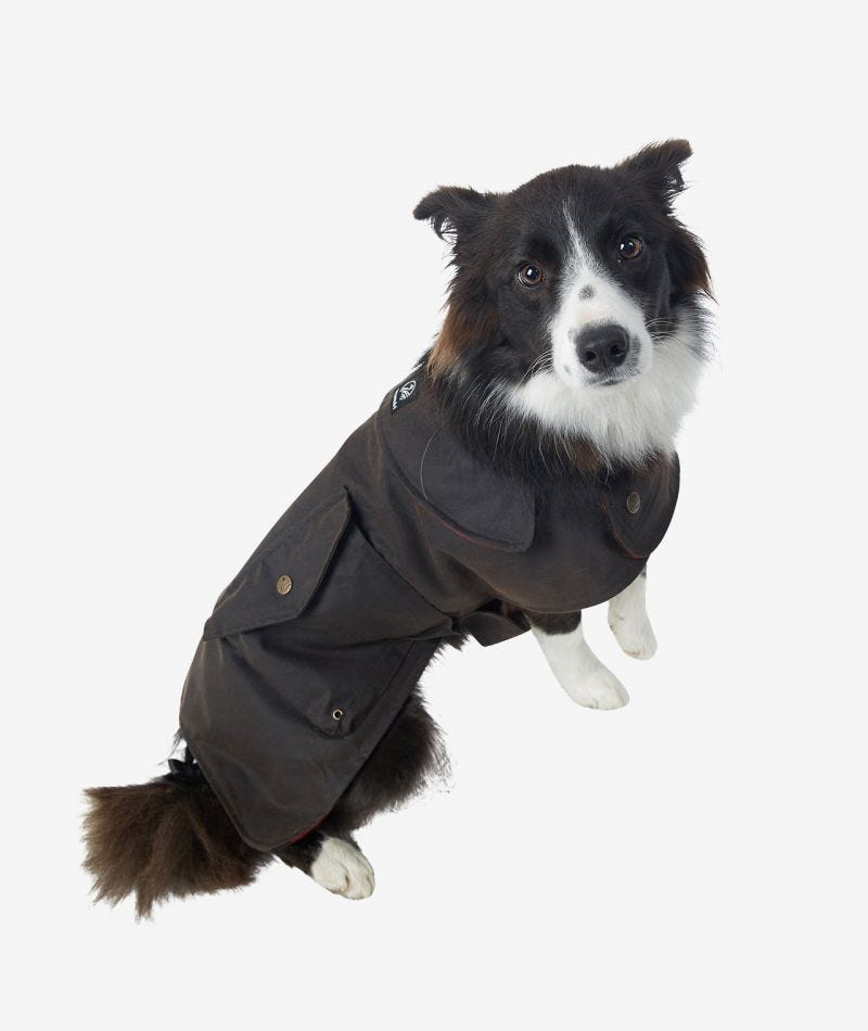 Swanndri Hunter Oilskin Dog Coat
