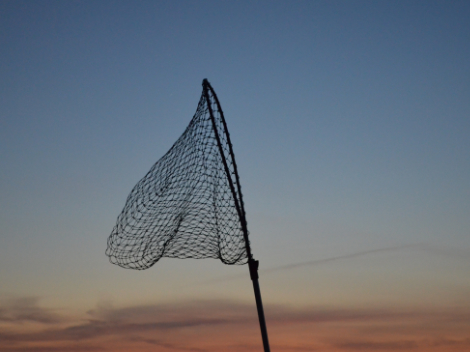 Nets - Fishing